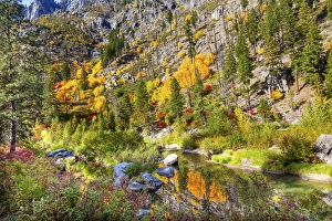 Fall Yellow Red Green Colors Reflection Wenatchee River Reflections Stevens Pass Fall Yellow Red Green Colors Reflection Wenatchee River Reflections Stevens Pass