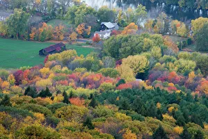 Farm in forest in fall next to the Connecticut River in Hadley, Massachusetts Farm in forest in fall next to the Connecticut River in Hadley, Massachusetts