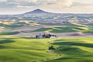 Farmington, Washington State, USA. Wheat farms in front of Steptoe Butte in the Palouse Farmington, Washington State, USA. Wheat farms in front of Steptoe Butte in the Palouse