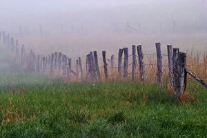 Images Dated 26th April 2004: Fence across foggy meadow Cades Cove Great Smoky Mountains N. P. TN