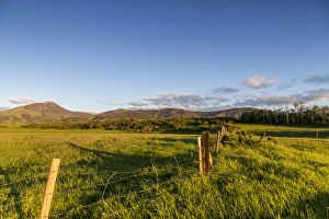 Fencerow in pastureland in the foothills of the Highwood Mountains in Choteau County Fencerow in pastureland in the foothills of the Highwood Mountains in Choteau County