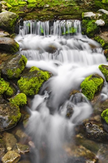 Fern Spring, Yosemite National Park, California Fern Spring, Yosemite National Park, California