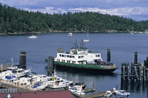 Ferry in harbor, Friday Harbor, San Juan Island, San Juan Islands, Puget Sound, Washington Ferry in harbor, Friday Harbor, San Juan Island, San Juan Islands, Puget Sound, Washington