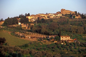 The fields surrounding Siena Duomo in Tuscany, Italy The fields surrounding Siena Duomo in Tuscany, Italy
