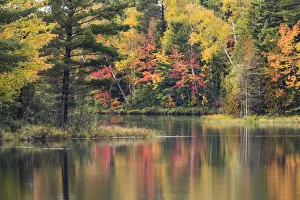 Fish Lake and fall colors along shoreline, Hiawatha National Forest Fish Lake and fall colors along shoreline, Hiawatha National Forest