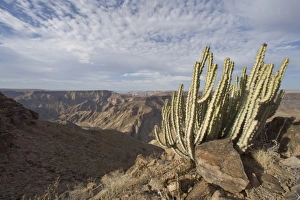 Rocky Canyon Landscapes Prints: Fish River Canyon, Namibia