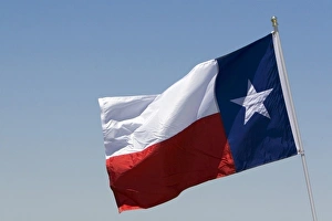 American Symbol Prints: The Flag of Texas