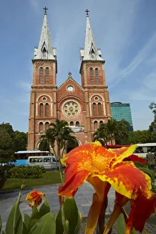 Flower and Notre-Dame Cathedral Basilica of Saigon, Ho Chi Minh City (Saigon), Vietnam Flower and Notre-Dame Cathedral Basilica of Saigon, Ho Chi Minh City (Saigon), Vietnam