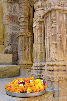 India Travel Photography Prints: Flowers and columns