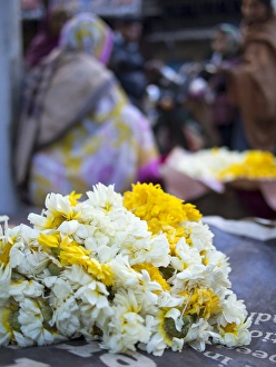 Flowers for sale at Udaipur, Rajasthan, India Flowers for sale at Udaipur, Rajasthan, India