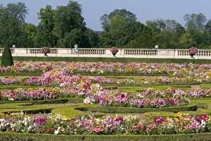 The formal gardens at The Palace of Versailles at Versailles in the department of Yvelines The formal gardens at The Palace of Versailles at Versailles in the department of Yvelines