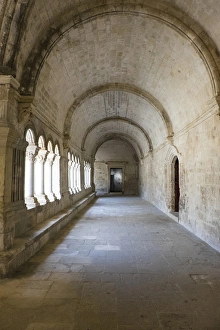 France, Arles, Abbey of Saint Peter of Montmajour, Benedictine order, established in 949 AD France, Arles, Abbey of Saint Peter of Montmajour, Benedictine order, established in 949 AD