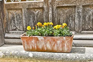 France, Saint-Cirq Lapopie. Flower box on a doorstep France, Saint-Cirq Lapopie. Flower box on a doorstep