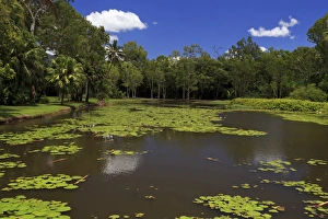 The fresh water lake section of of Centenary Lakes adjoining the Botanic Gardens The fresh water lake section of of Centenary Lakes adjoining the Botanic Gardens
