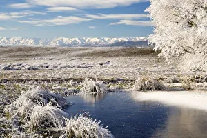 Central Otago Landscapes Prints: Frozen Pond