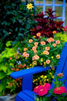 Garden designs in our Garden Sammamish, Washington Garden designs in our Garden Sammamish, Washington