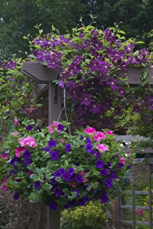 Garden designs in our Garden Sammamish, Washington Garden designs in our Garden Sammamish, Washington