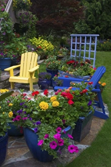 Garden designs in our Garden Sammamish, Washington Garden designs in our Garden Sammamish, Washington