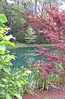 Garden landscaping pond at Alfred Maclay Gardens State Park Tallahassee Florida Garden landscaping pond at Alfred Maclay Gardens State Park Tallahassee Florida