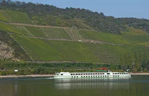 Germany Rhine River Kamp Bornhofen village river cruise ship with vineyards Germany Rhine River Kamp Bornhofen village river cruise ship with vineyards