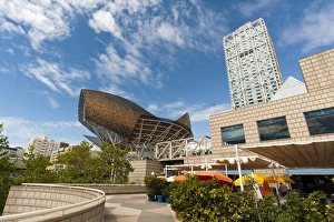 Golden fish by Frank Owen Gehry and Hotel Arts, Olympic Harbour, La Barceloneta district Golden fish by Frank Owen Gehry and Hotel Arts, Olympic Harbour, La Barceloneta district