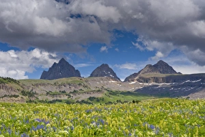 Grand Teton, South and Middle Tetons, Lupine and Wildflowers, Alaska Basin Shelf Grand Teton, South and Middle Tetons, Lupine and Wildflowers, Alaska Basin Shelf