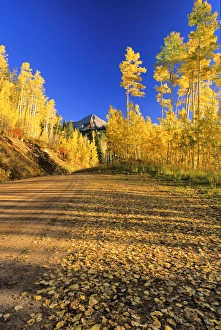 Gravel road lined with autumn color in the San Juan National Forest of Colorado Gravel road lined with autumn color in the San Juan National Forest of Colorado
