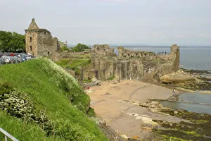 St. Andrews Coastline Beach Print
