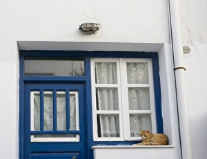 Greece, Mykonos. Orange tabby cat rests on ledge next to blue door and white window Greece, Mykonos. Orange tabby cat rests on ledge next to blue door and white window
