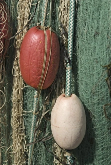 Green Nylon Fishing Net and White Buoys at Gooseberry