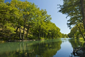 Guadalupe River and Baldcrypress trees at Gruene, Texas near New Braunfels Guadalupe River and Baldcrypress trees at Gruene, Texas near New Braunfels