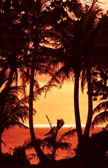 Guam USA Territory palms and sunset near Hagatna capital Guam USA Territory palms and sunset near Hagatna capital