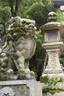 A guardian stone lion traditional stone lantern at the entrance to Kasuga-Taisha Shrine A guardian stone lion traditional stone lantern at the entrance to Kasuga-Taisha Shrine