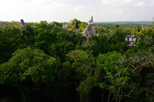 Guatemala, Tikal, vista from temple 5 onto main plaza Guatemala, Tikal, vista from temple 5 onto main plaza