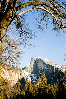 Half Dome from Valley floor. Yosemite, California, US Half Dome from Valley floor. Yosemite, California, US
