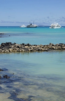 Harbor with blue water and boats and sun Santa Cruz Galapagos Islands Ecuador South Harbor with blue water and boats and sun Santa Cruz Galapagos Islands Ecuador South