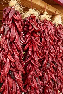 Hatch, New Mexico, United States. Red chiles hang out to dry Hatch, New Mexico, United States. Red chiles hang out to dry