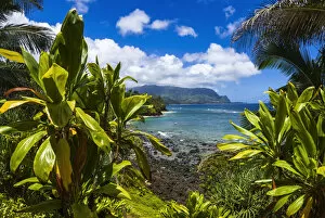 Images Dated 10th July 2006: Hideaways Beach and the Na Pali Coast through tropical foliage, Island of Kauai