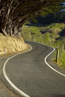 Highcliff Rd, Otago Peninsula, Dunedin, South Island, New Zealand Highcliff Rd, Otago Peninsula, Dunedin, South Island, New Zealand