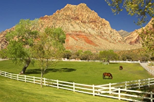 Historic Spring Mountain Ranch Print, Red Rocks Canyon Nevada