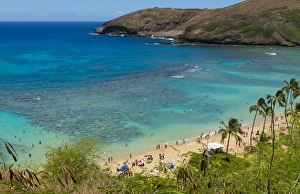Honolulu Hawaii Oahu famous reef at Hanauma Bay coral from above snorkelers beach Honolulu Hawaii Oahu famous reef at Hanauma Bay coral from above snorkelers beach