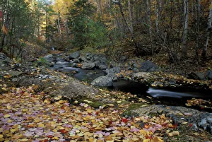 Howe Brook, Baxter State Park, ME. A stream in fall Howe Brook, Baxter State Park, ME. A stream in fall