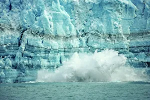 The Hubbard Glacier is tidewater glacier that calves frequently, tongass National Forest The Hubbard Glacier is tidewater glacier that calves frequently, tongass National Forest