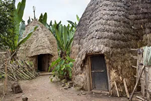 Huts of the Dorze people in the Guge Mountains of Ethiopia with groves of cooking banana Huts of the Dorze people in the Guge Mountains of Ethiopia with groves of cooking banana