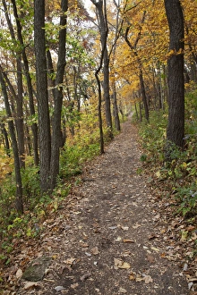 IA, Effigy Mounds National Monument, trail to Great Bear and Little Bear Mound groups IA, Effigy Mounds National Monument, trail to Great Bear and Little Bear Mound groups