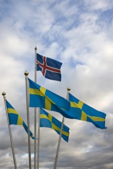 Iceland. The national flag of Norway flies above a grouping of Swedens National flags Iceland. The national flag of Norway flies above a grouping of Swedens National flags