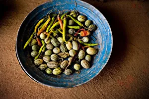 India, Rajasthan. Bowl with vegetables. Credit as: Jim Nilsen / Jaynes Gallery India, Rajasthan. Bowl with vegetables. Credit as: Jim Nilsen / Jaynes Gallery