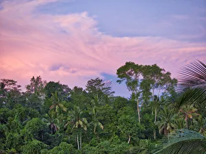 Indonesia, Bali, Ubud. Sunrise in the rainforest Indonesia, Bali, Ubud. Sunrise in the rainforest