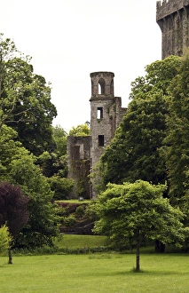 In Ireland, at the Blarney Castle tower surrounded by lush green trees In Ireland, at the Blarney Castle tower surrounded by lush green trees
