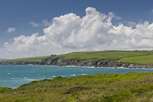 Ireland, County Cork, Lispatrick, Courtmacsherry Bay Ireland, County Cork, Lispatrick, Courtmacsherry Bay